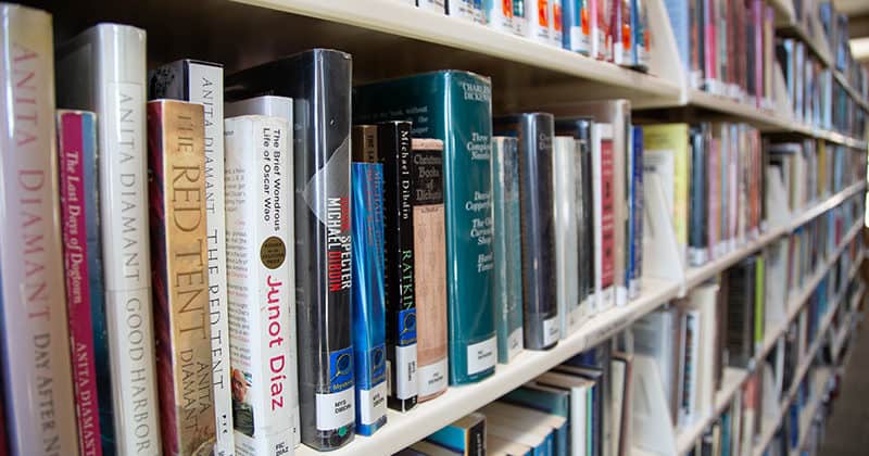 Books in the library shelves