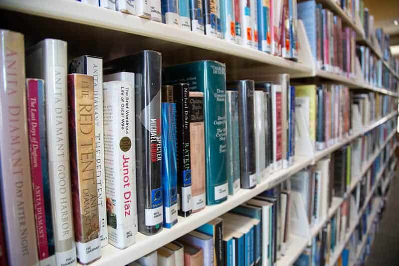 Books in the library shelves